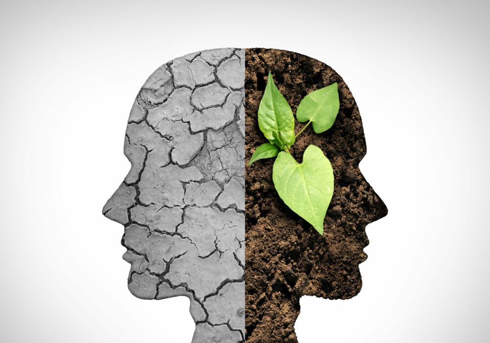 Environmental psychology and Climate change psychological understanding as a dried or dry cracked land suffering from drought versus rich moist organic earth with a growing plant shaped as a human head as a composite.