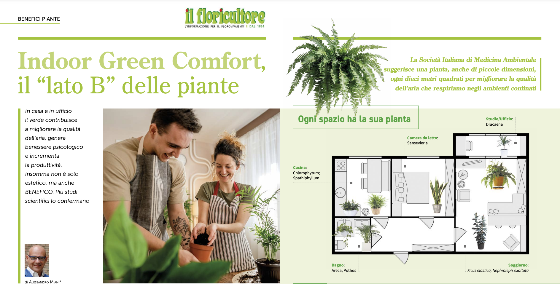 IL FLORICULTORE: Indoor green comfort